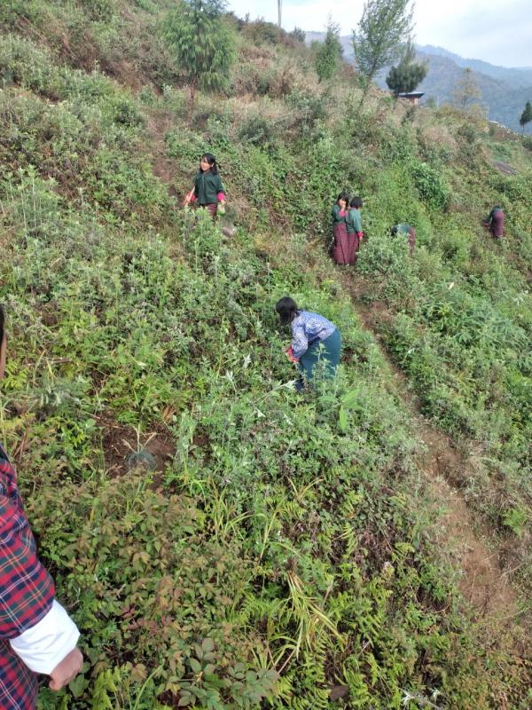 Tree plantations on Earth Day 2021