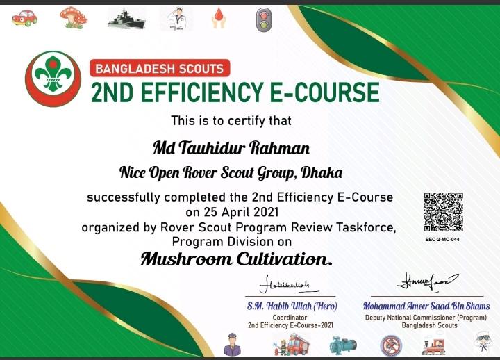 বাংলাদেশ স্কাউটস ২য় দক্ষতা অর্জন ই-কোর্স ২০২১