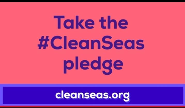 tide turners plastic challenge