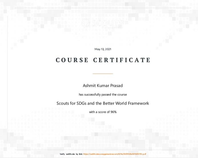 I HAVE COMPLETED SCOUTS SDGS COURSE