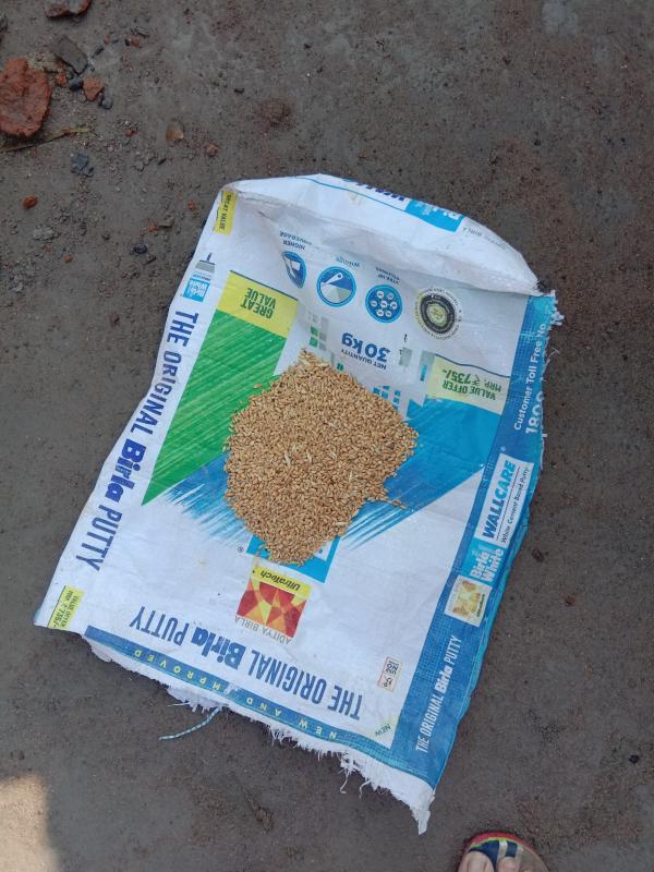 Monalisa Das, sustainable development goals, feed the need, climate action 