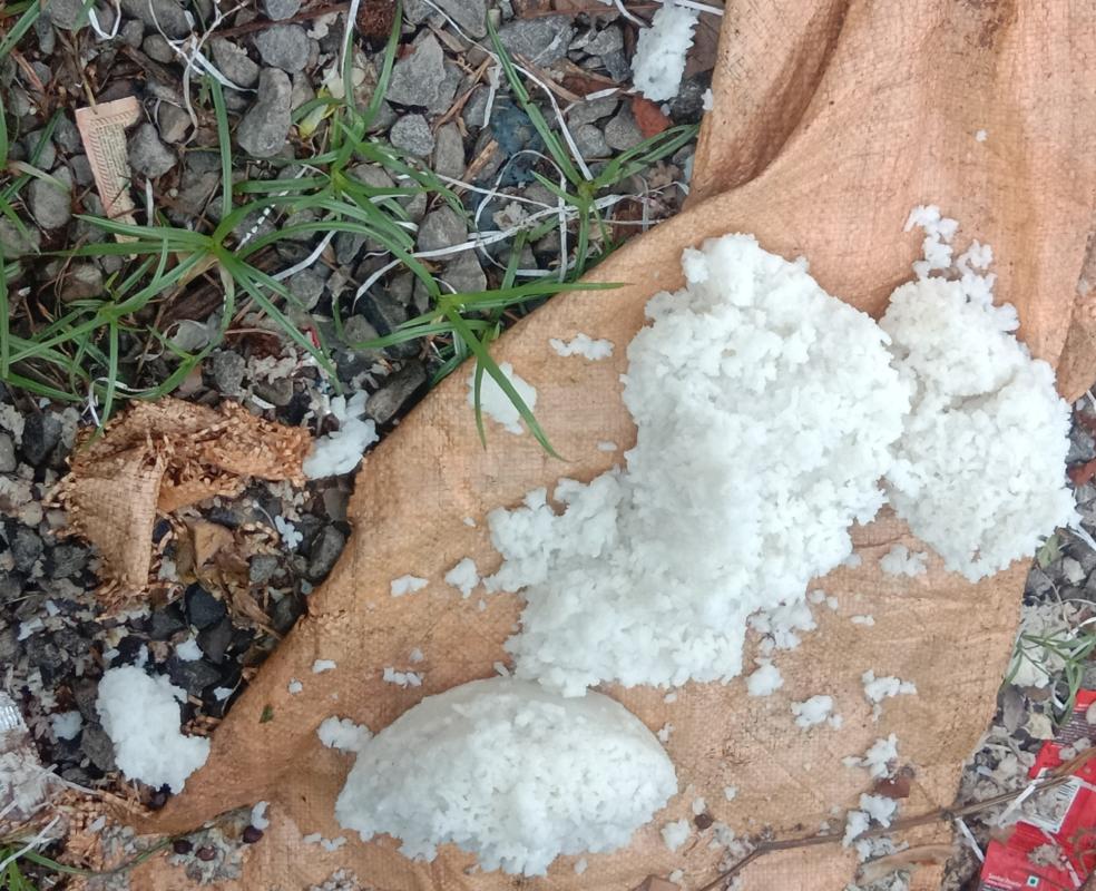 feed the need, climate action, say no to plastics 