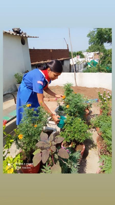 Gardening during lockdowm