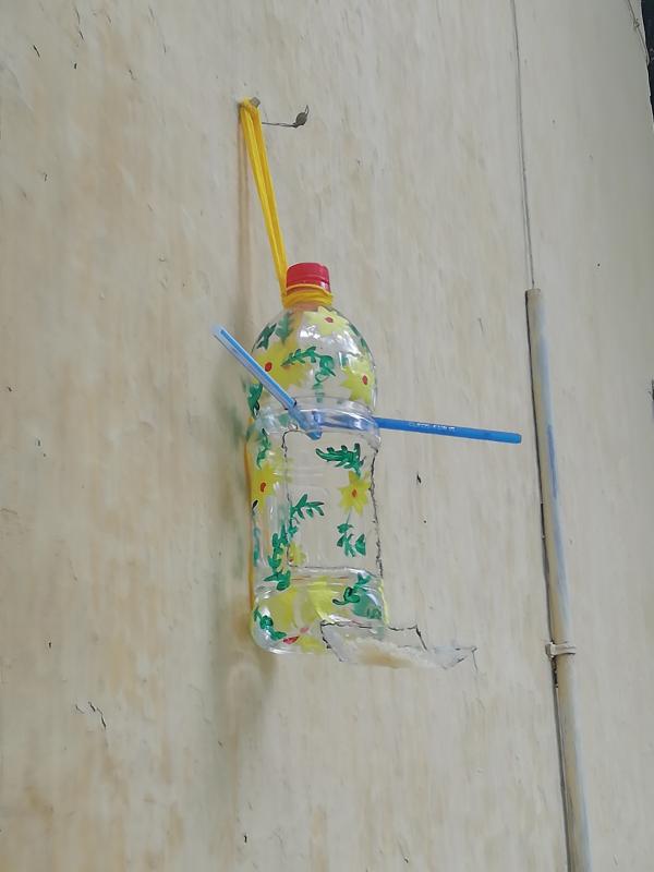 Activitie 6.Friend to Birds (Sankalp) 