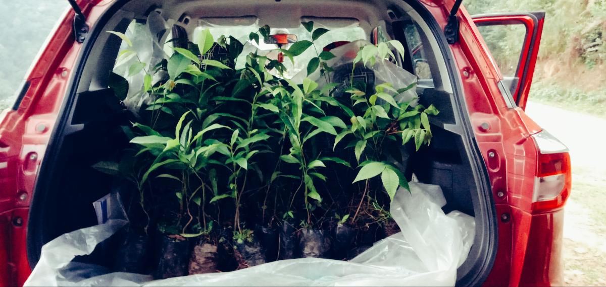 Social Forestery Day