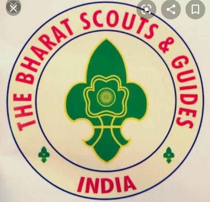 Sankalp2.0,activity 9,Trefoil around the world, logos of different countries, ##bsgsankalp ##BSGindia Monalisa Das 