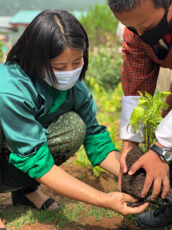 Ecosystem Restoration 