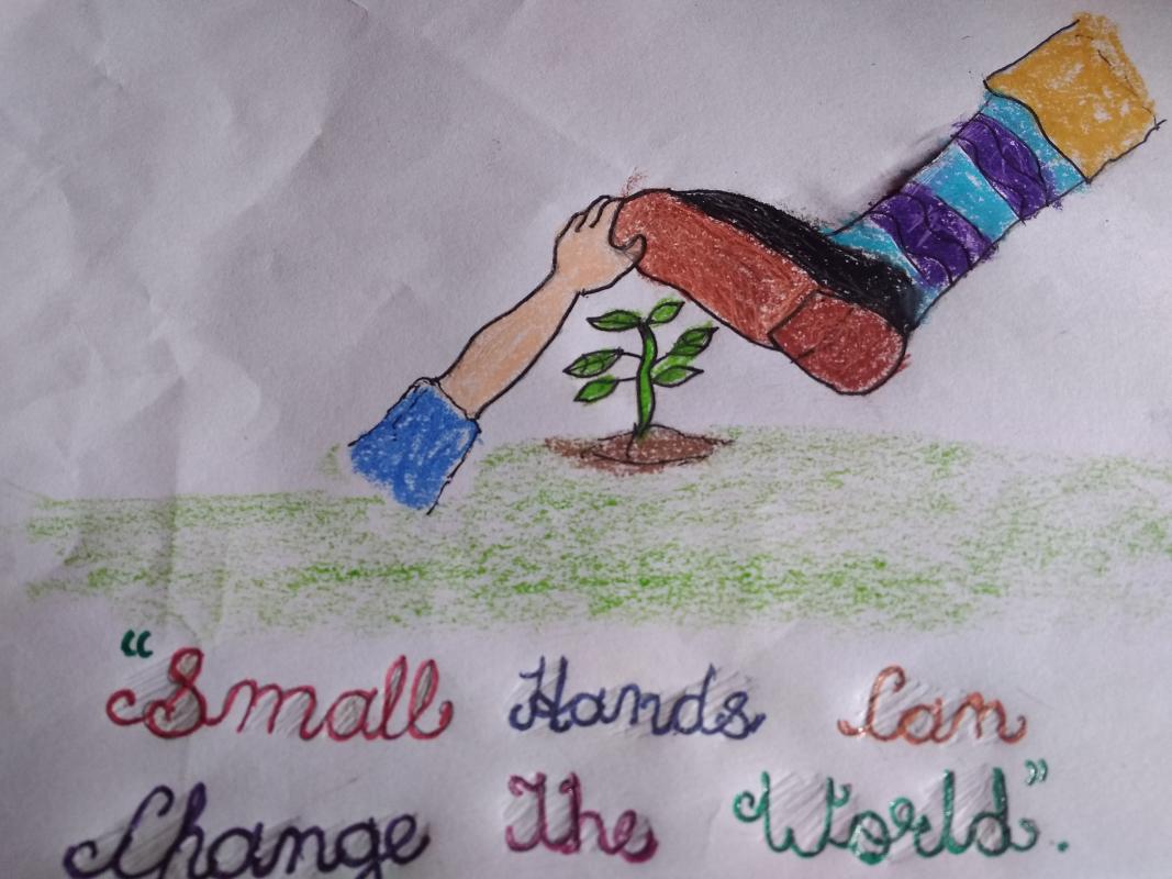 Plantation of saplings and feeding animals.