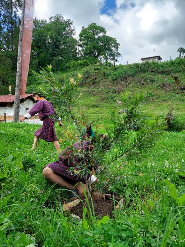 June 2nd celebration 