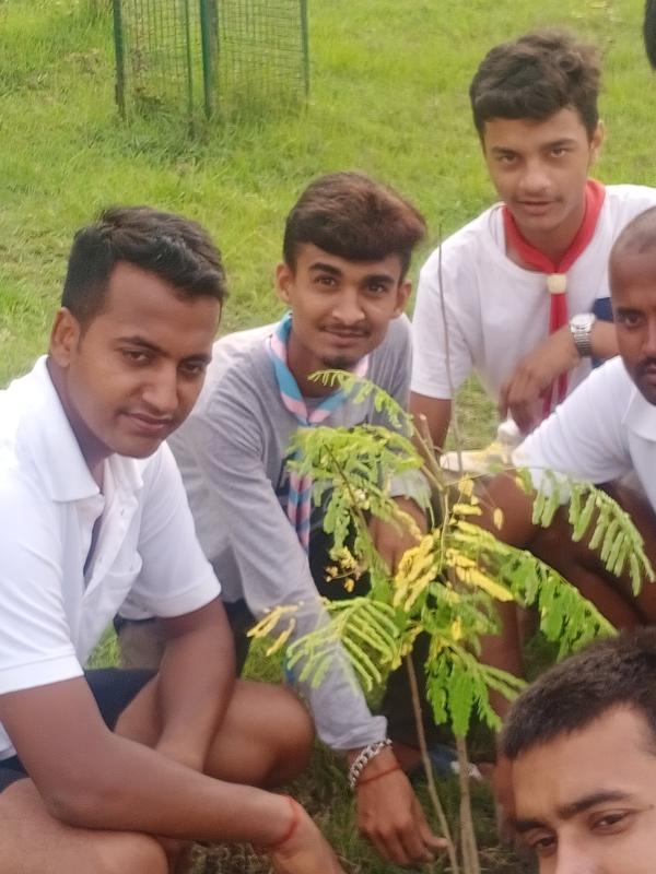 sdgs 15