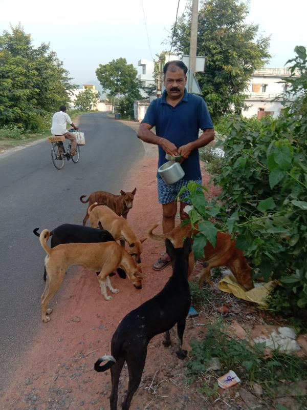 sankalp 2.0,##bsgsankalp, activity friends to birds and animals, life on land, feed the need, climate action, Monalisa Das 