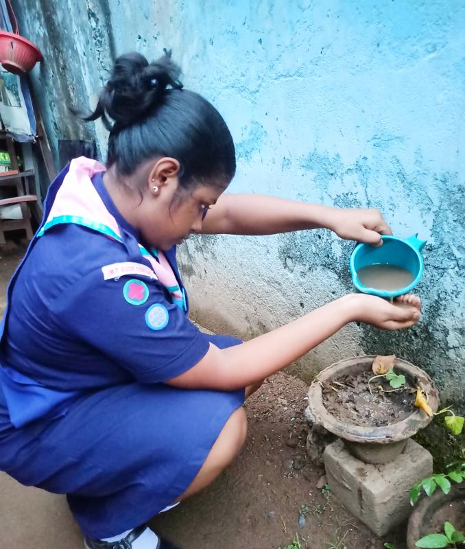 SANKALP 2.0 , activity -5 :- LOCKDOWN GARDEN