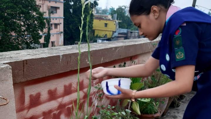 SANKALP 2.0 Activity 5 - Lockdown Garden