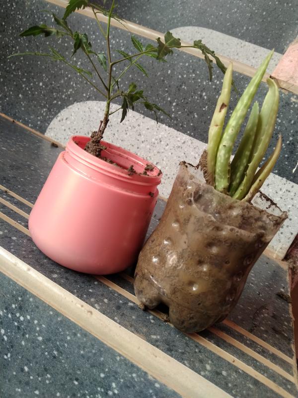 plastic challenge during covid-19