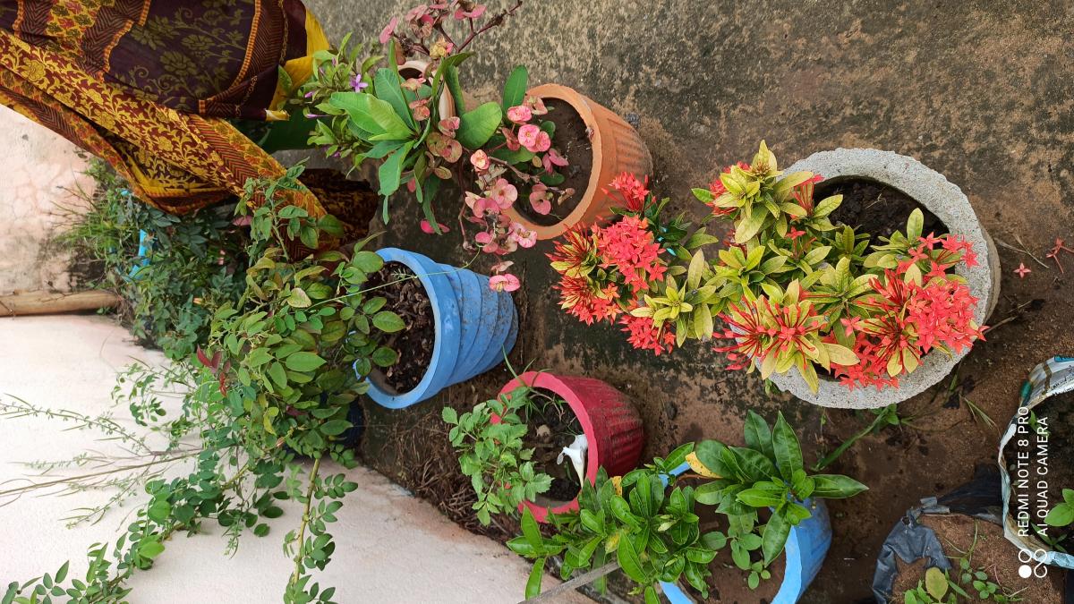 SANKALP 2.0# Activity-5# 