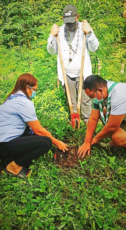 FRUIT BEARING TREE GROWING: EARTH SUSTAINING - NUEVA ECIJA COUNCIL