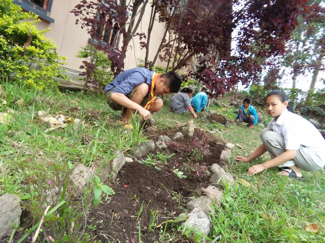 SaveTrees