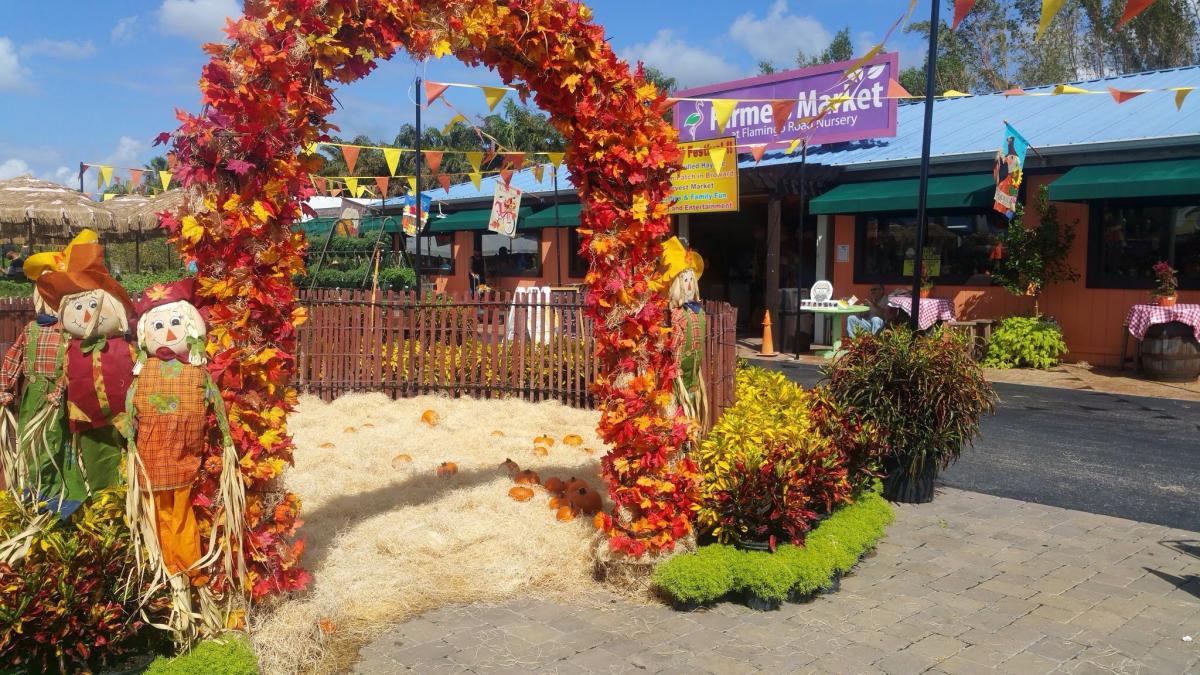 Flamingo Road Nursery