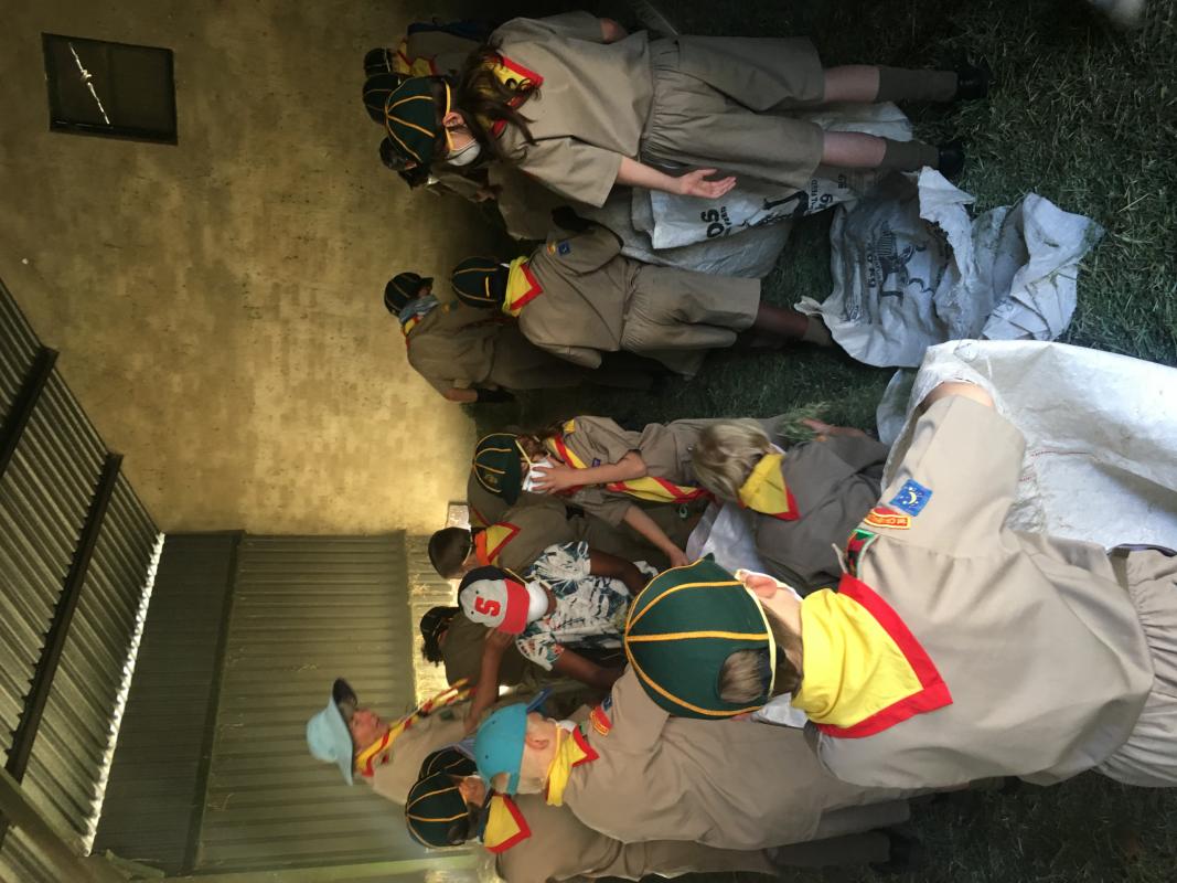 Community service at the Johannesburg Zoo