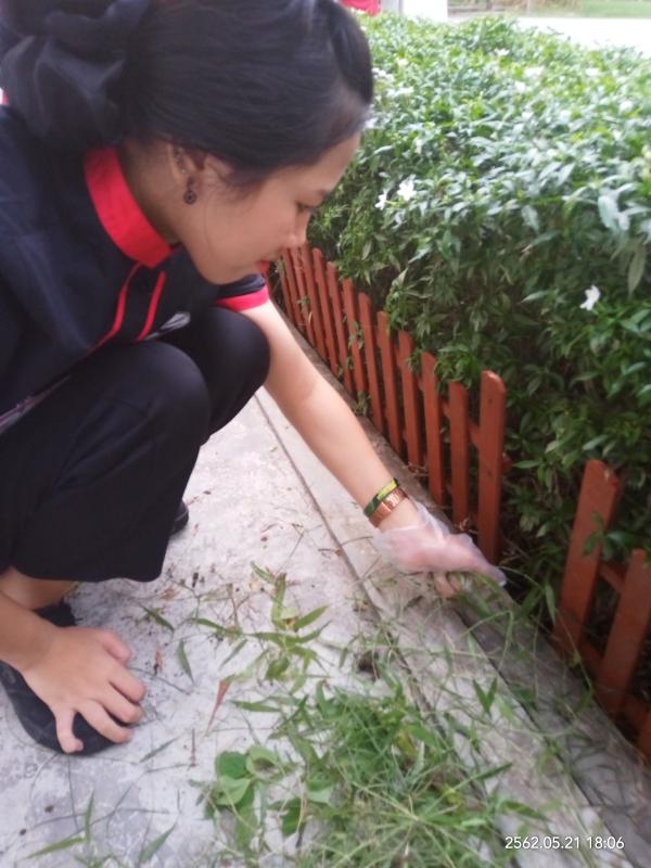 ถอนหญ้าา