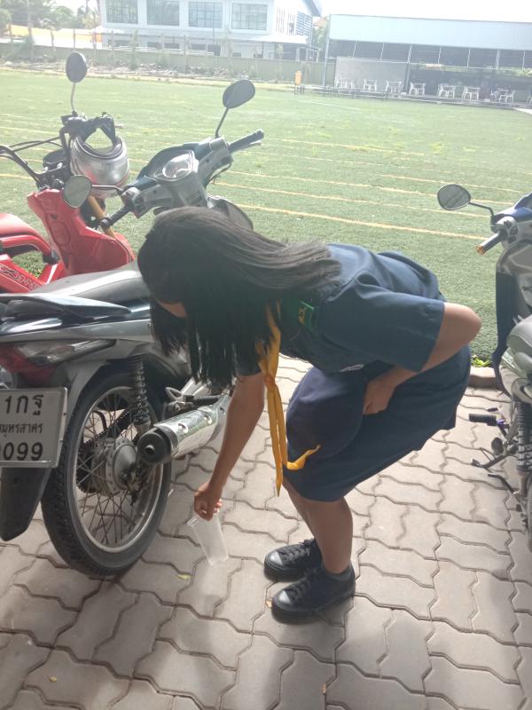 กิจกรรมเก็บขยะในโรงเรียน