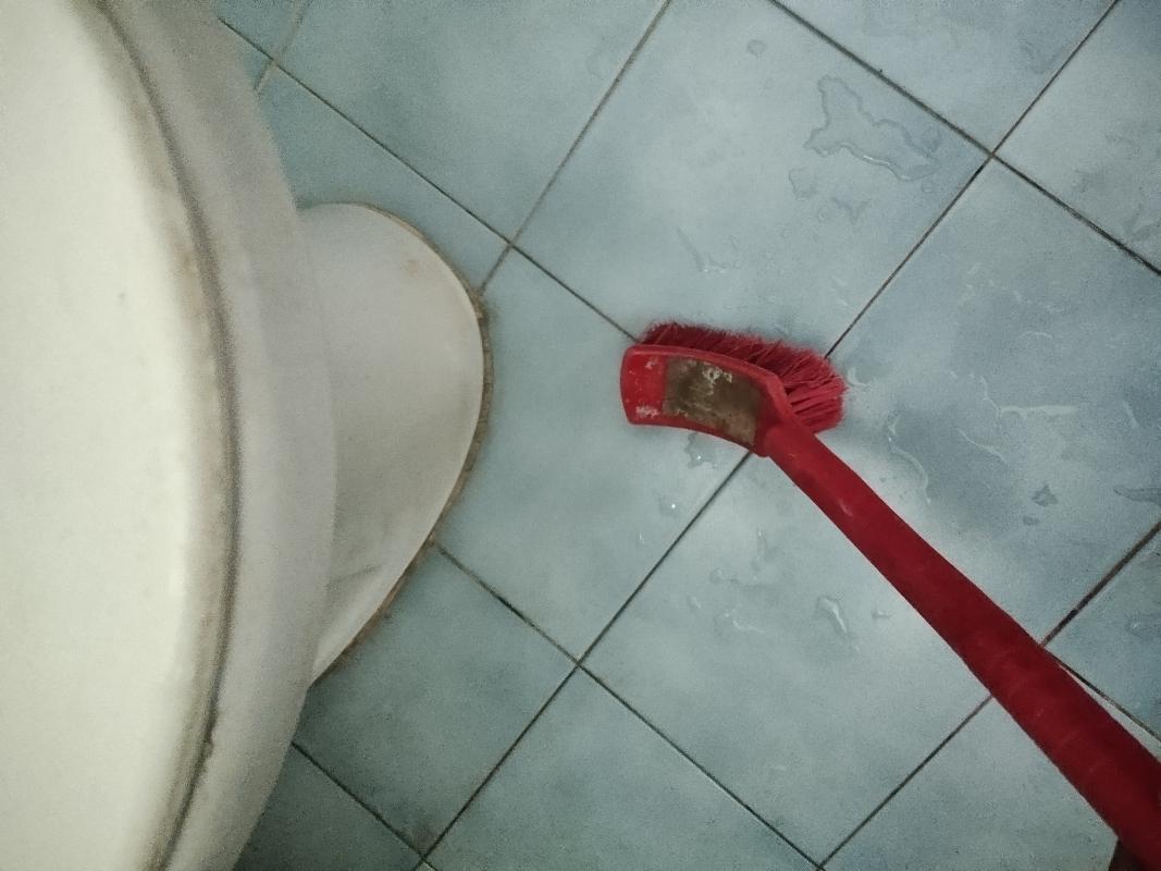 ล้างห้องน้ำ