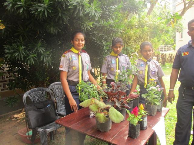 Funds raising to the Nethrelee church Colombo by selling plants