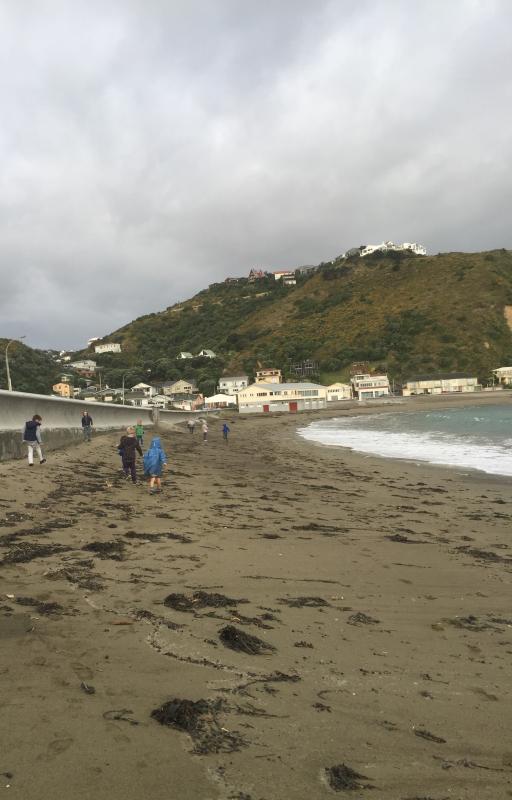 Kea Scouts Beach Clean Up