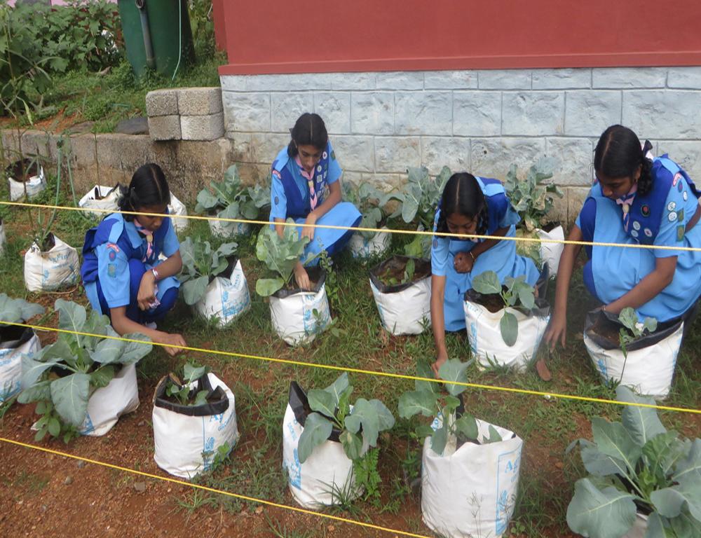 environmental sustainability