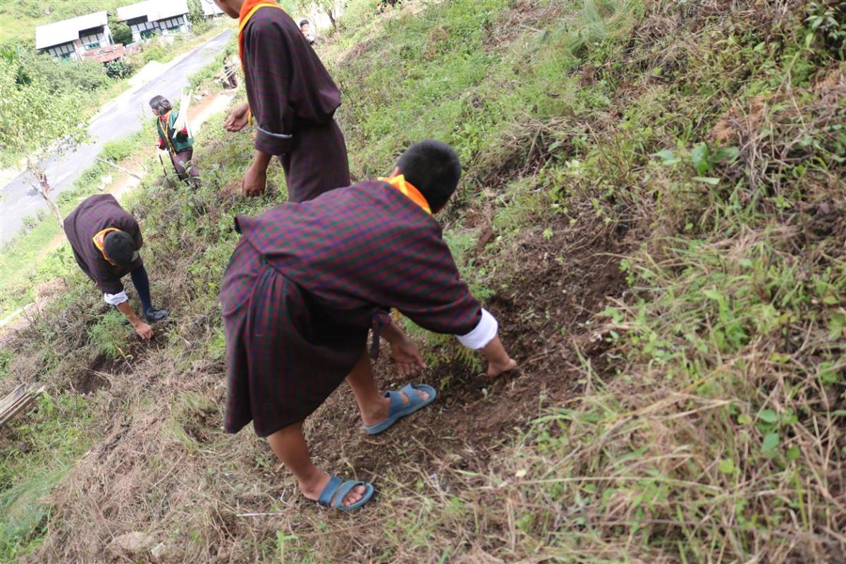 International Peace day-2018