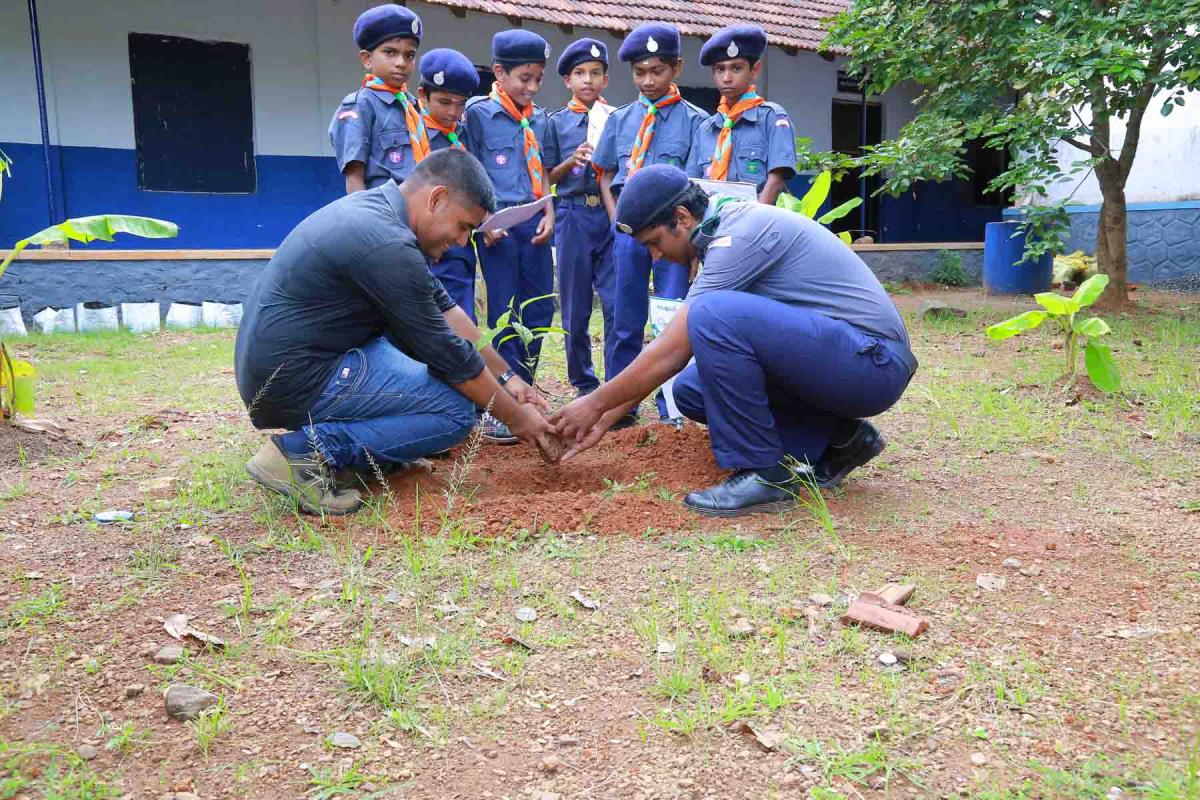 environment day celebration