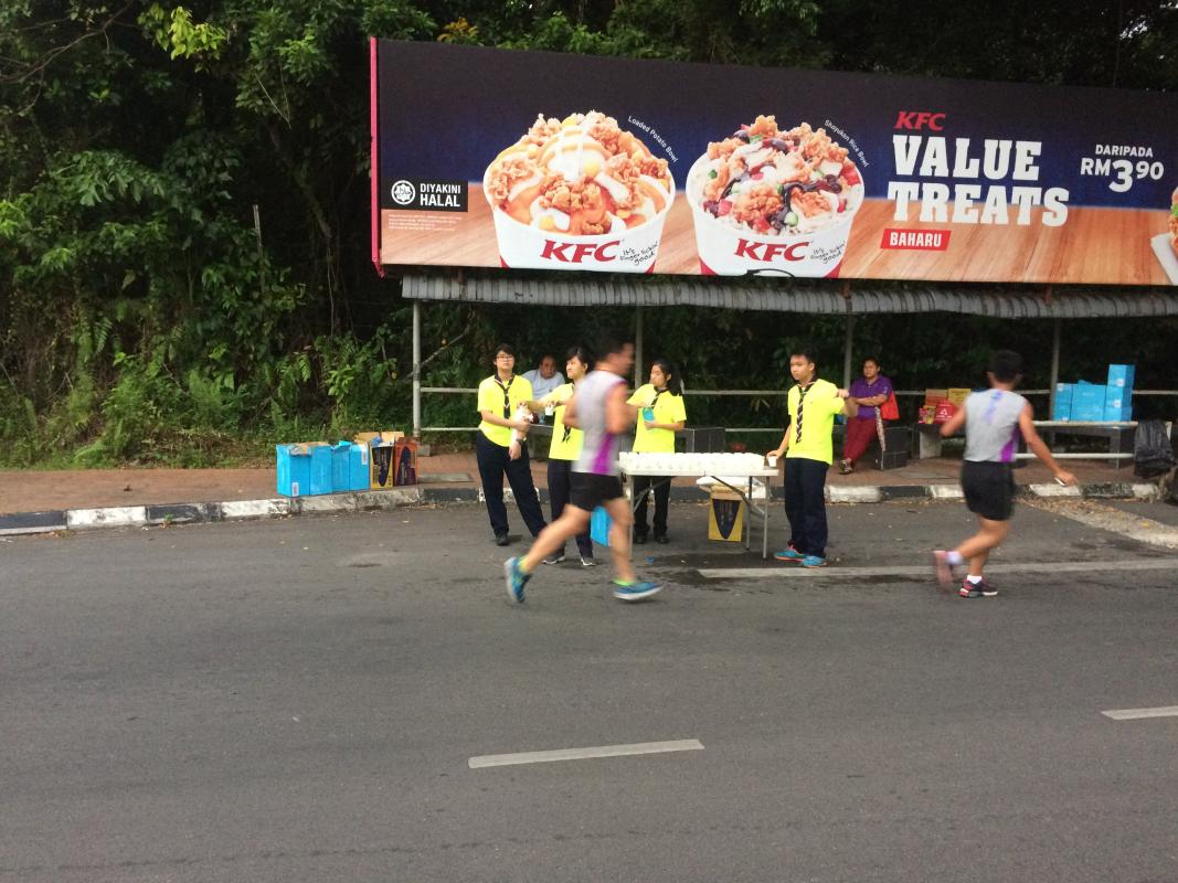 Larian CJC 4.2