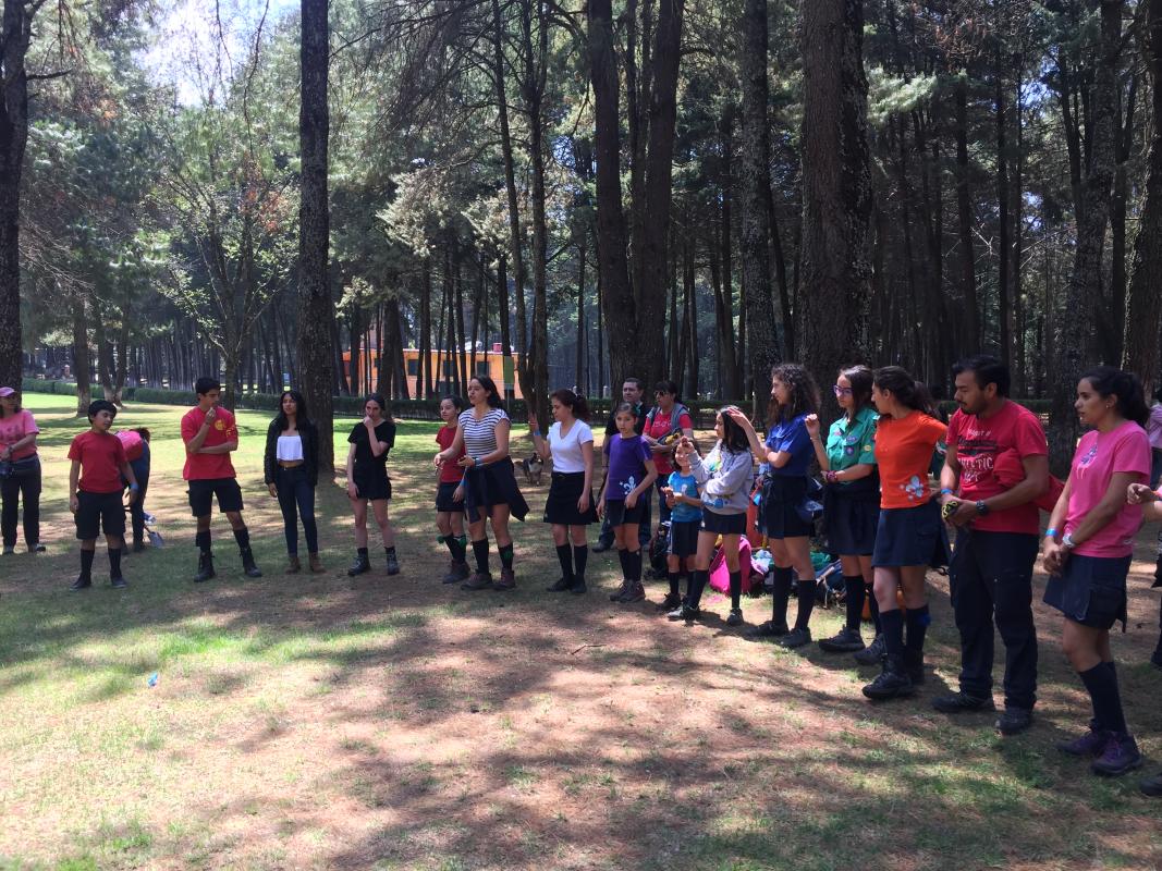 Reforestación 2 En camino al 100 aniversario