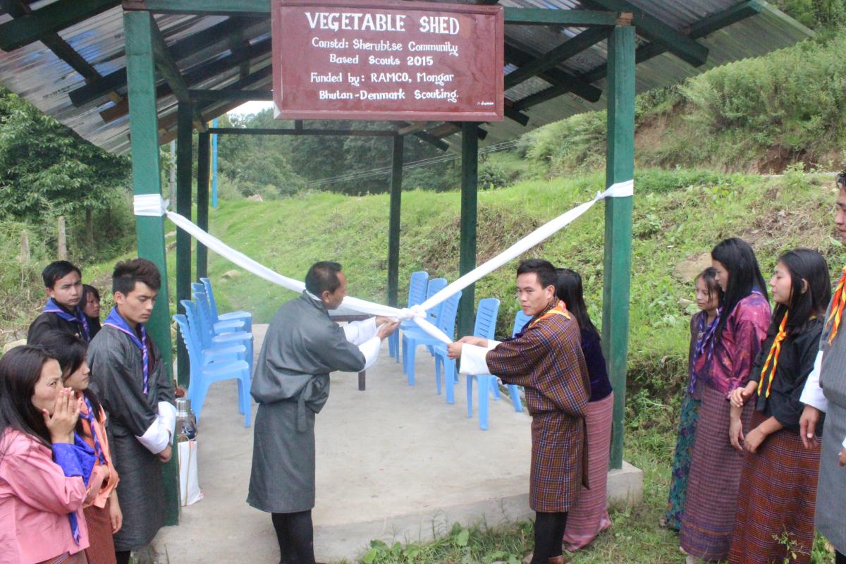 community project 