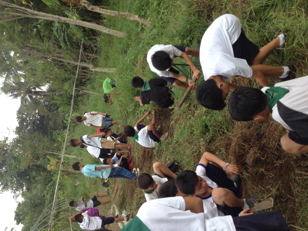 SMES SCHOOL GARDEN