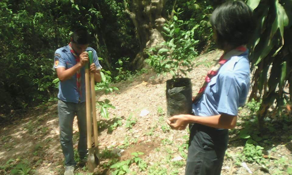 Reforestacio prinera parte