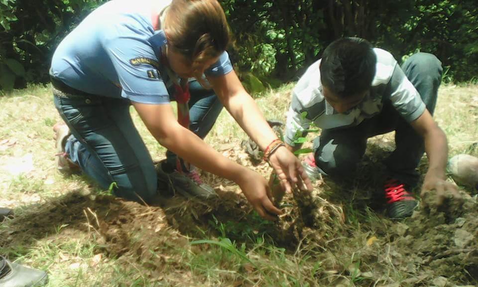 Reforestacion segunda parte