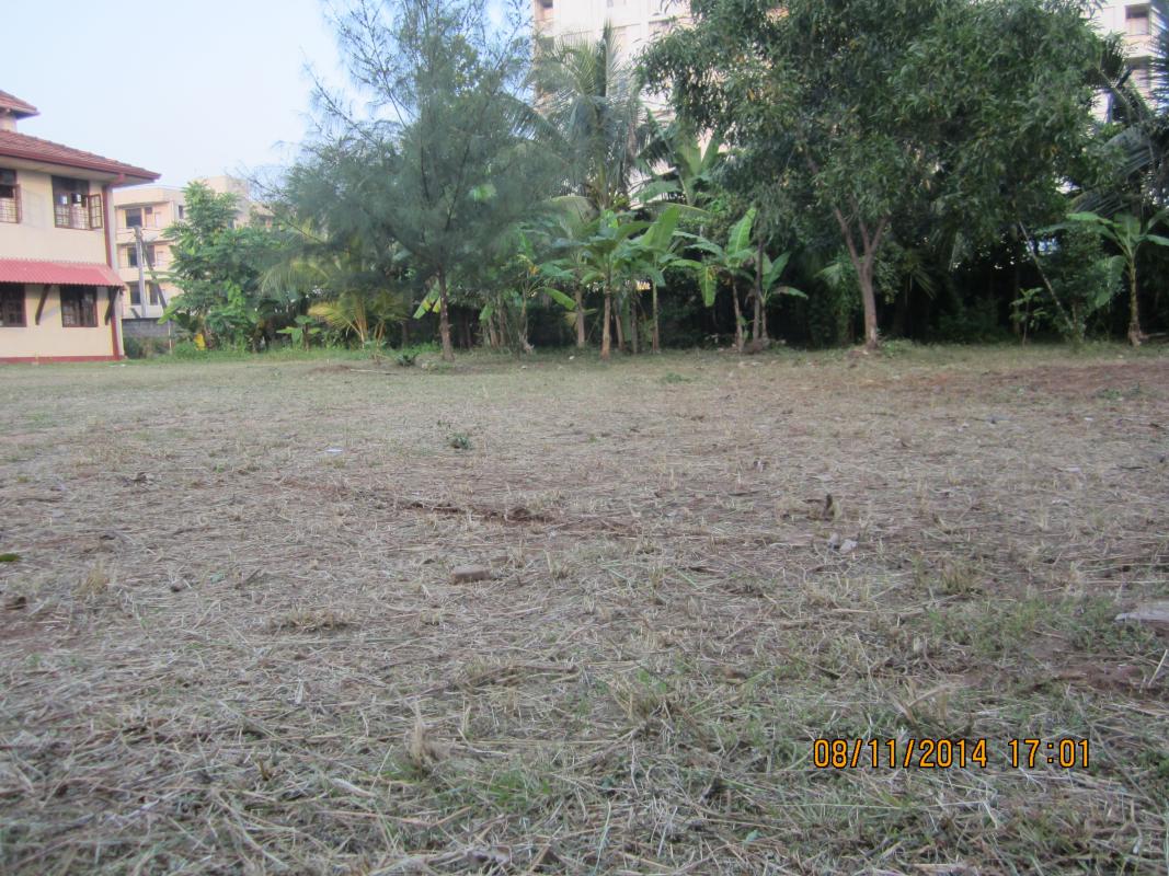 Community Service Project [President's Scout Award]