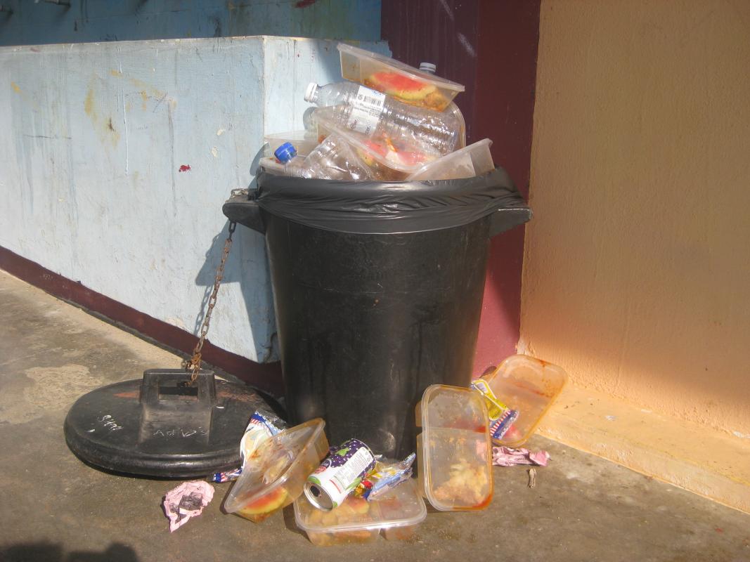 Double Xtras Dustbin