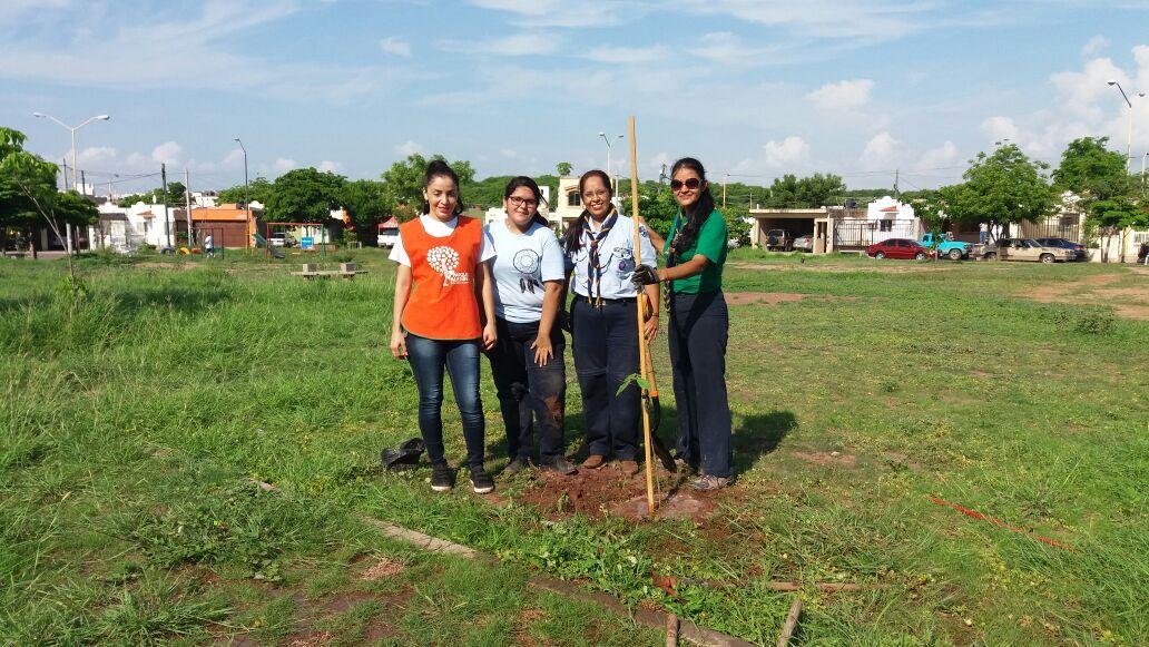 Reforestando el parque familiar, Santa Fe.