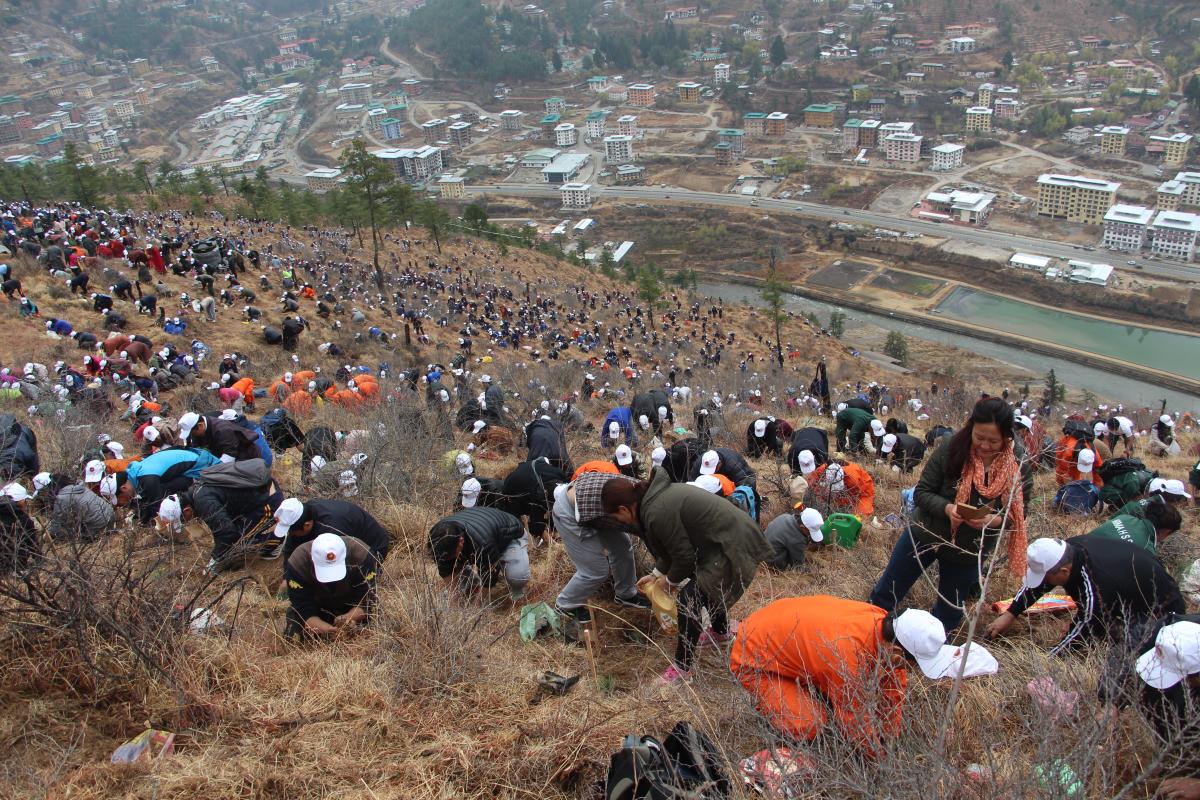 Planting of 6000  trees in  Thimphu, Bhutan as part of its effort towards envirornment conservation.