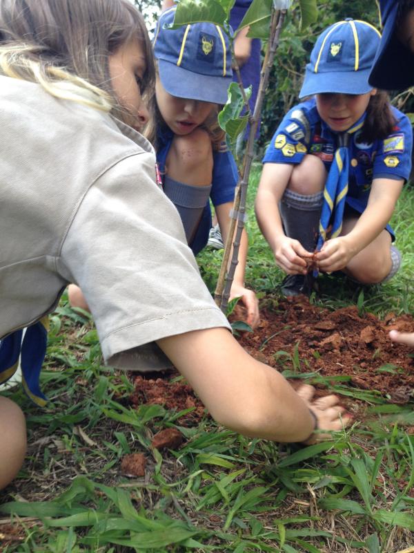 Plantio de árvores do projeto Trees for the World - MUTECO 2015