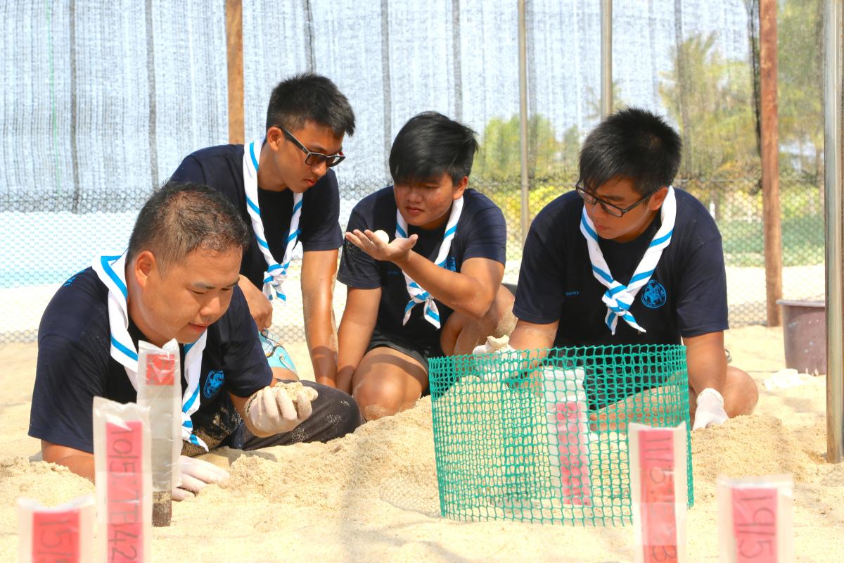 Project Orion VI - Rovering with Turtles