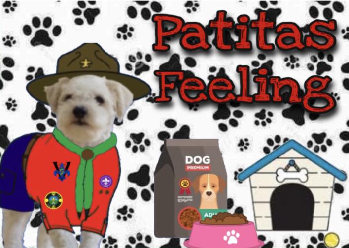 Proyecto Rover Horquilla Roja Vocación (Patitas Feelings)