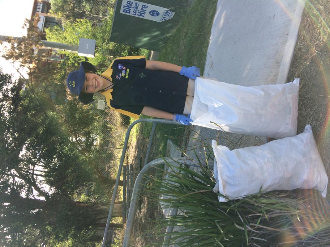 Epping Cub Scouts - Clean Up Australia Day