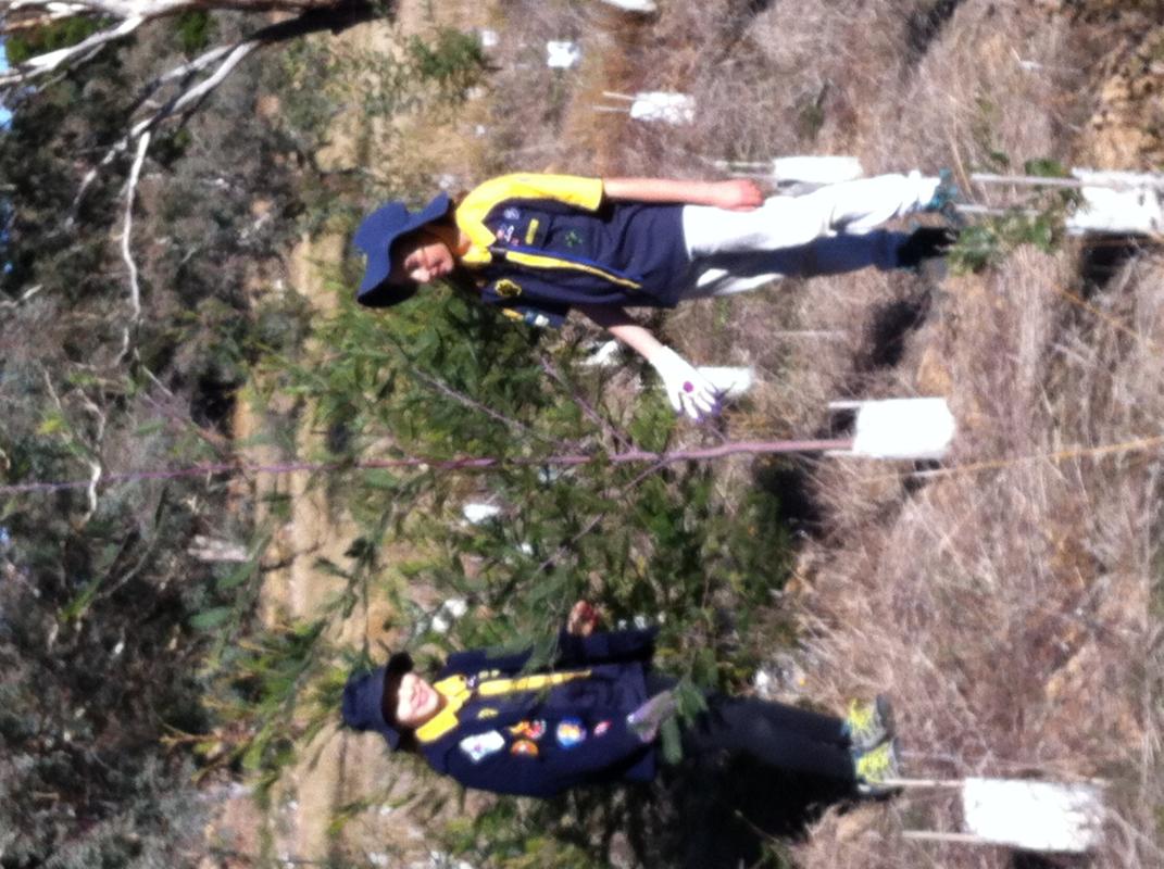 Tree Planting/ Bush Regeneration