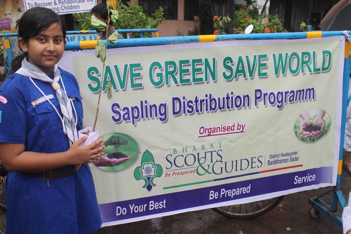 Afforestation Drive 