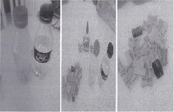 Projeto -Campanha de Reutilização de Garrafas Pets