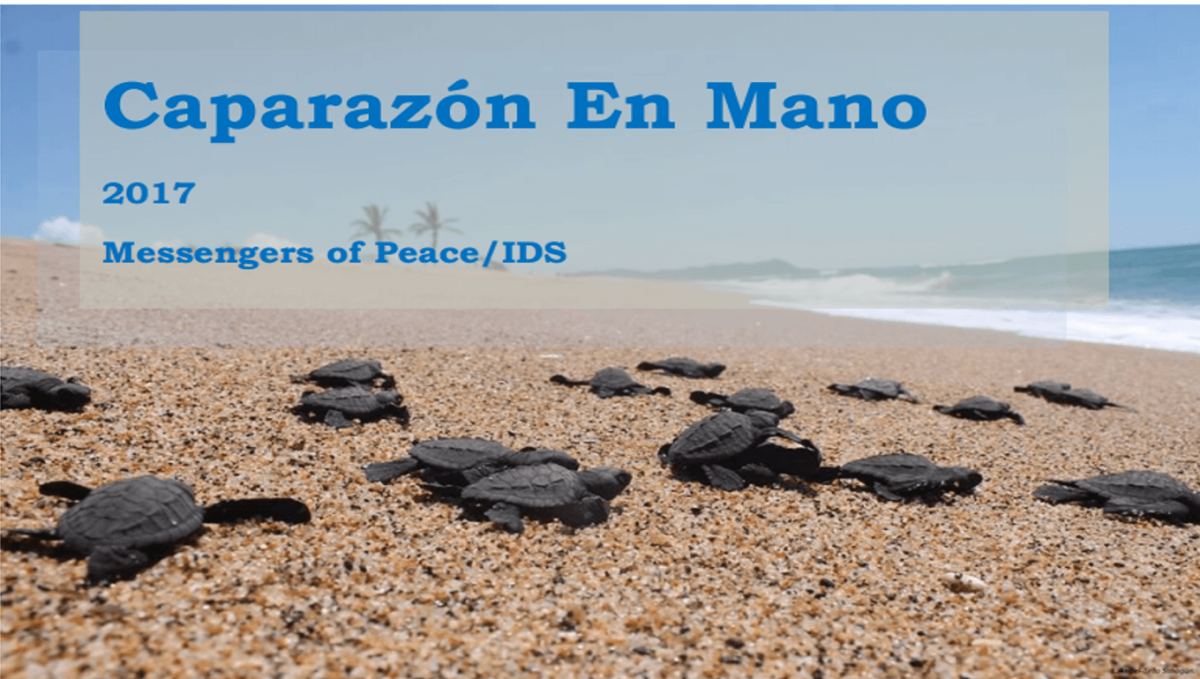 Caparazón en mano