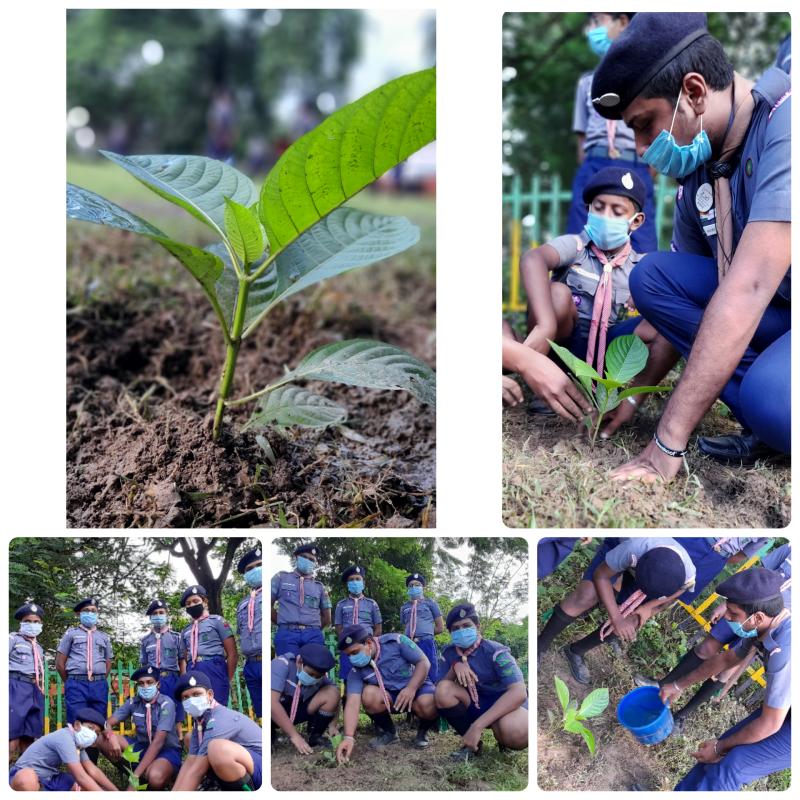 An action towards Climate Action & Life On Land